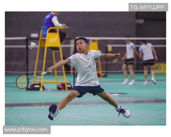 成都羽毛球队在奥运会上的精彩表现与未来发展展望分析