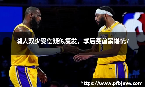湖人双少受伤疑似复发，季后赛前景堪忧？