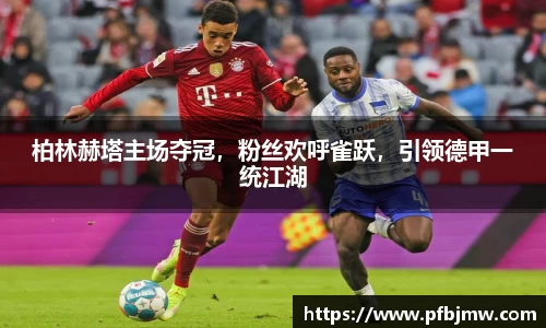 柏林赫塔主场夺冠，粉丝欢呼雀跃，引领德甲一统江湖
