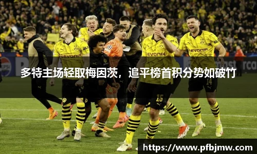 多特主场轻取梅因茨，追平榜首积分势如破竹